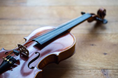 Bir keman Görünümü Kapat dizeleri ve köprü 