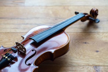 Bir keman Görünümü Kapat dizeleri ve köprü 