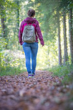 Sırt çantalı bir kadın sonbahar ormanında yürüyor. Yapraklar dökülüyor.  