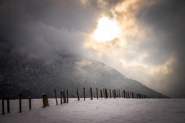 Зимовий Пейзаж Снігом Вранці — стокове фото