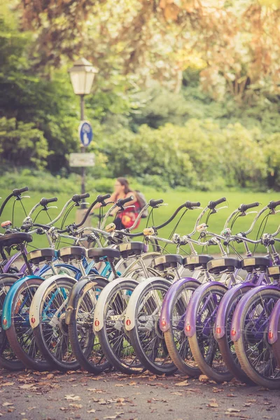 Bicicletas Estacionadas Parque —  Fotos de Stock