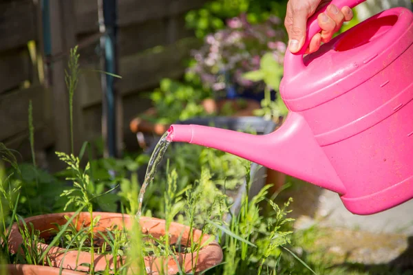 Wanita Tangan Dengan Selang Taman Menyiram Tanaman Berkebun Konsep — Stok Foto