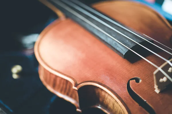 Close view of a violin strings and bridge