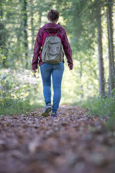 Frau Mit Rucksack Spaziert Herbstlichen Wald Blätter Fallen Herunter — Stockfoto