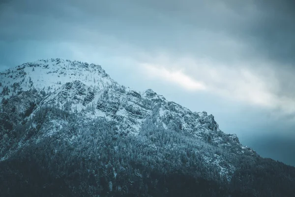 Snö Berg Och Tress Det Tidiga Morgonljuset — Stockfoto