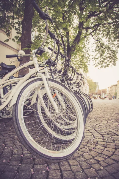 Bisikletlerin park yeri, kapalı.