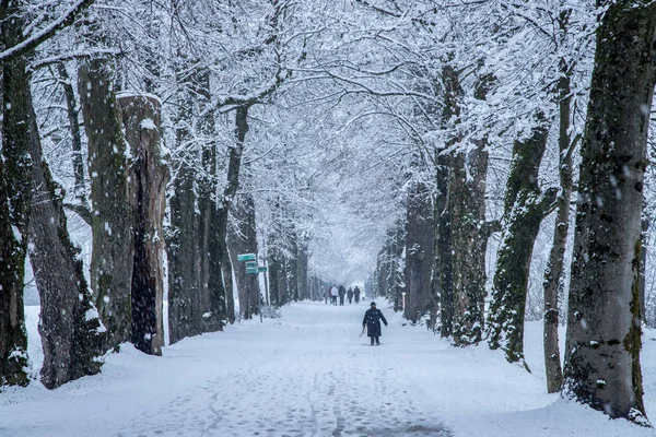 people walking in Park in winter day