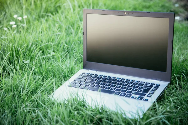 Close up laptop pc computer  on green grass