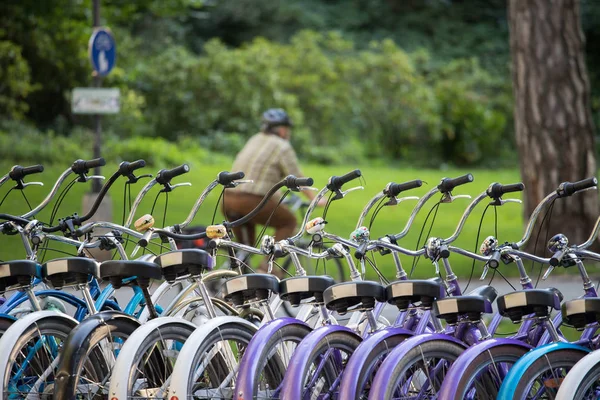 Park Abgestellte Fahrräder — Stockfoto