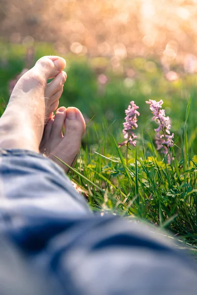 Samčí Nohy Ležící Zelené Trávě — Stock fotografie