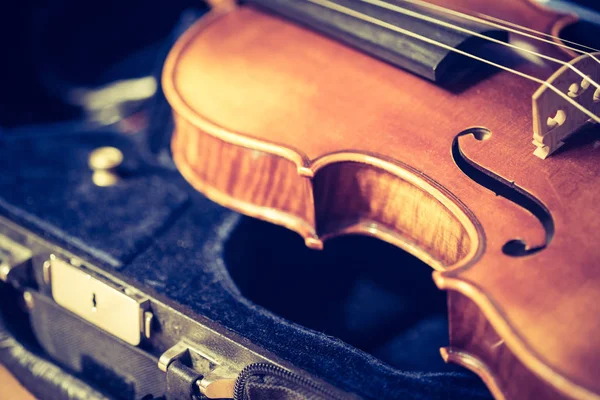 Bir keman Görünümü Kapat dizeleri ve köprü 