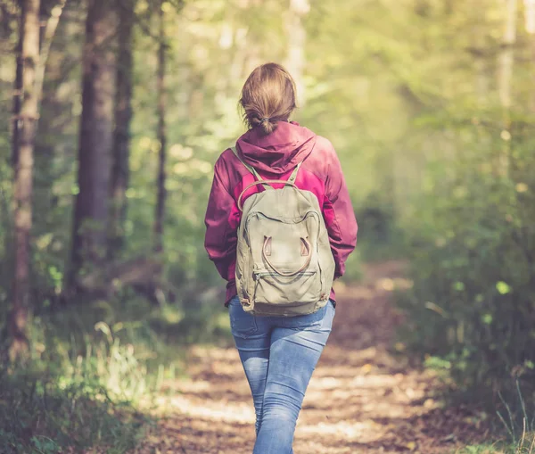 Vrouw Met Rugzak Wandelend Het Herfstbos Bladeren Vallen Naar Beneden — Stockfoto