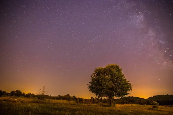 Krásná Noční Scenérie Hvězdami Louka Strom Teplé Fialové Barvy — Stock fotografie