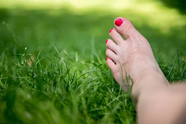 Female Leg Lying Grass Park Sunny Day — Stock Photo, Image