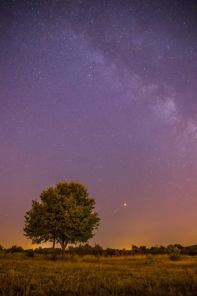 Beau Paysage Nocturne Avec Étoiles Prairie Arbre Couleurs Violettes Chaudes — Photo