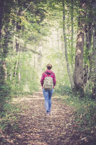 Mujer Con Mochila Caminando Bosque Otoñal Las Hojas Caen — Foto de Stock