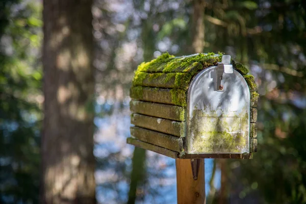 森林里的旧信箱 — 图库照片