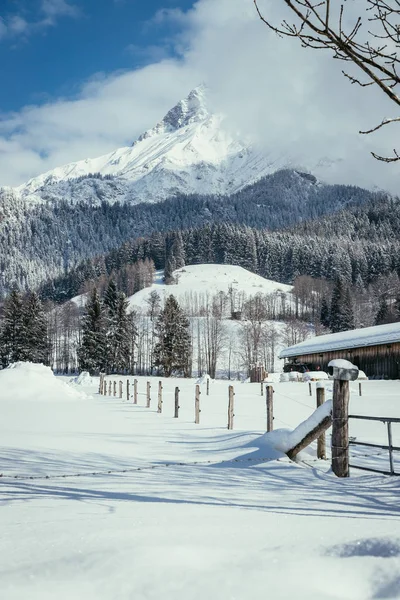 Зимовий Ліс Горах — стокове фото