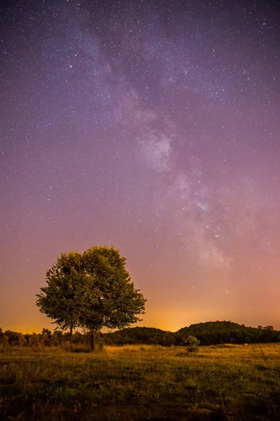 Beau Paysage Nocturne Avec Étoiles Prairie Arbre Couleurs Violettes Chaudes — Photo