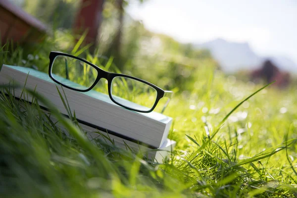 Zavřít Brýle Knihu Zelené Trávě — Stock fotografie