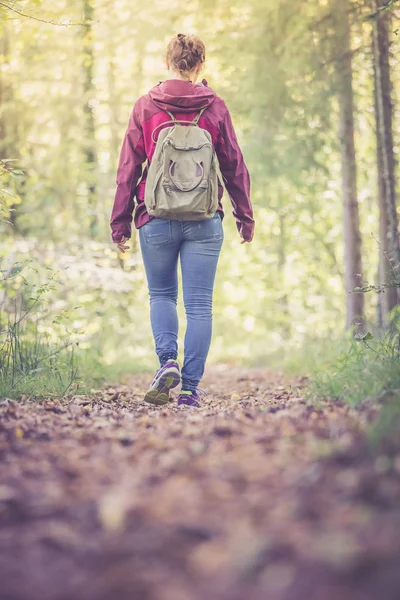 Mujer Con Mochila Caminando Bosque Otoñal Las Hojas Caen — Foto de Stock