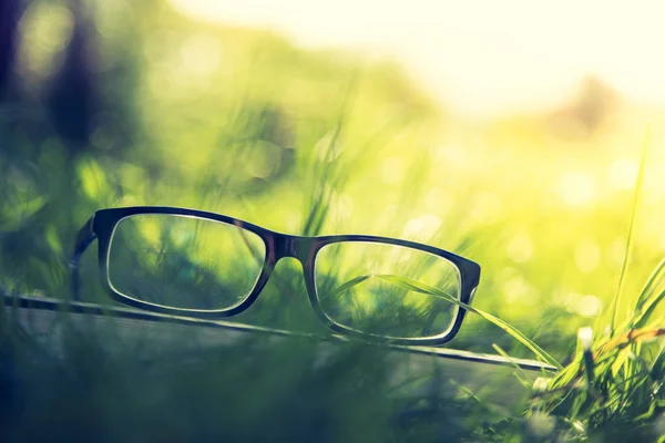 Brille Auf Und Buch Auf Grünem Gras — Stockfoto