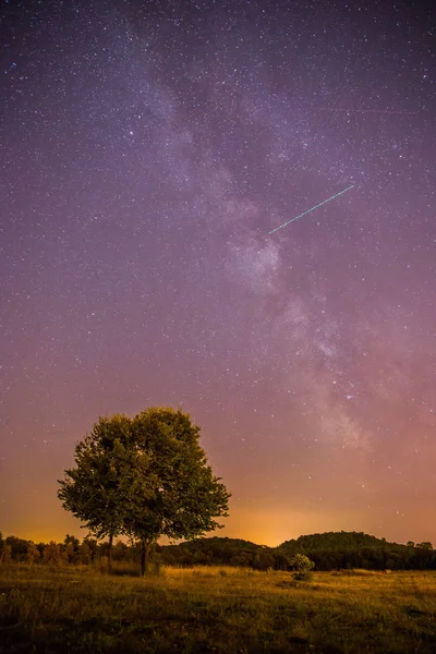 Beau Paysage Nocturne Avec Étoiles Prairie Arbre Couleurs Violettes Chaudes — Photo