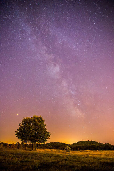 Красивый ночной пейзаж со звездами, лугом и деревом, теплые фиолетовые цвета
