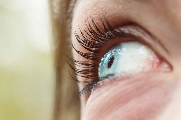 Feminine Eye Close Blue Iris Eyelashes — Stock Photo, Image