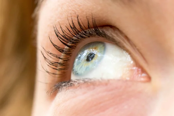 Kobiece Oko Zbliżenie Niebieską Tęczówką Rzęsami — Zdjęcie stockowe