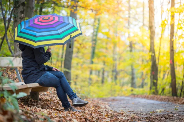 Jong Meisje Blauwe Jas Paraplu Zittend Bank Het Herfstbos — Stockfoto