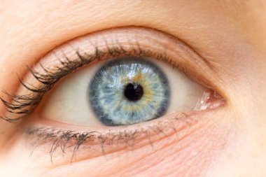 Kadınsı göz, mavi göz ve kirpiklerle kapat. 