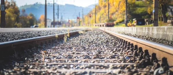 Sustainable traveling by train: Rail track and colorful, idyllic