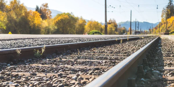 Sustainable traveling by train: Rail track and colorful, idyllic