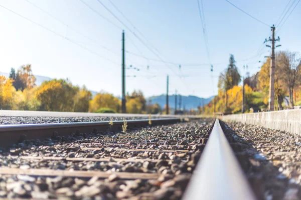 Sustainable traveling by train: Rail track and colorful, idyllic