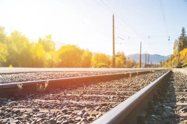 Sustainable traveling by train: Rail track and colorful, idyllic