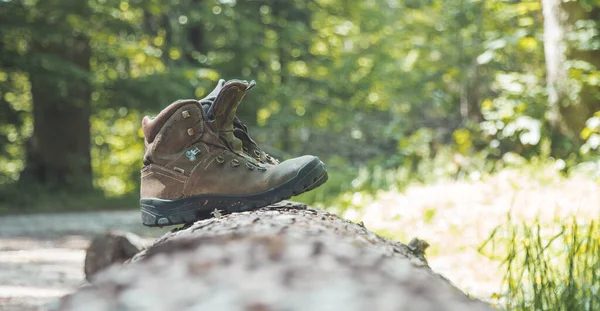 Alpenlaarzen Een Boomstam Wandeltocht Alpen Wandelvakantie — Stockfoto