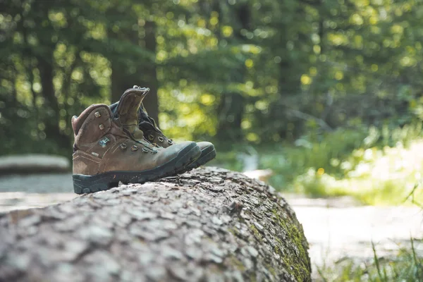 Alpine boots on a tree trunk: hiking trip in the alps, hiking holidays