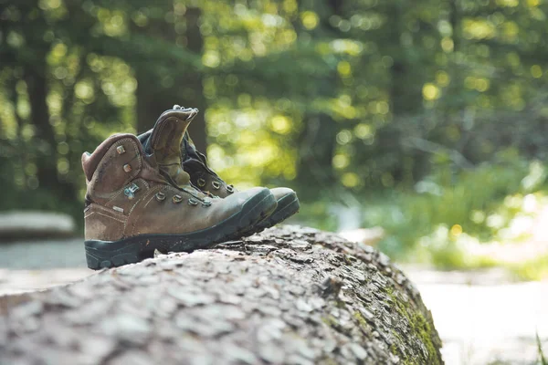 Alpine boots on a tree trunk: hiking trip in the alps, hiking holidays