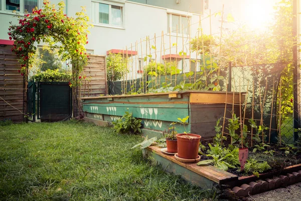 Liten Trädgård Med Grönt Gräs Och Blommor För Att Kul — Stockfoto