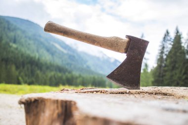 Kırsal kesimdeki bir ağaç gövdesine bağlı eski baltayı kapat.