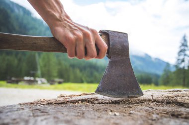 Kırsal kesimdeki bir ağaç gövdesine bağlanmış baltayı tutan yaşlı bir erkek eli.