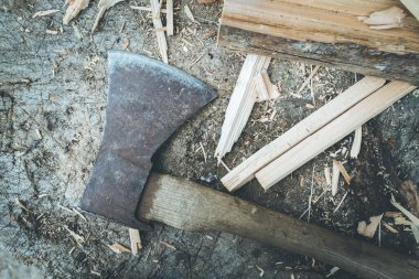 Kırsal kesimdeki bir ağaç gövdesine bağlı eski baltayı kapat.