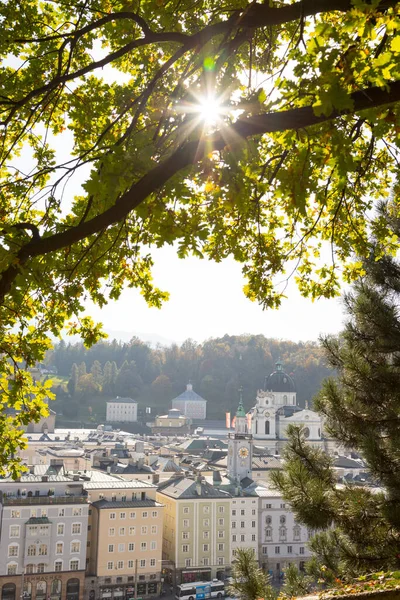 Salzburg Historic District Autumn Time Colorful Leaves Colors Sunshine Austria — Stock Photo, Image