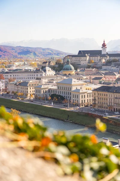 秋天的萨尔茨堡历史街区 色彩艳丽的树叶 色彩艳丽 奥地利 — 图库照片