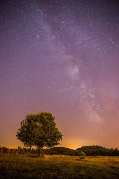 Καθαρός Μωβ Ουρανός Αστέρια Μοναχικό Πεδίο Και Δέντρο — Φωτογραφία Αρχείου