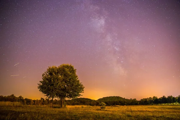 Чисте Фіолетове Небо Зірками Самотнє Поле Дерево — стокове фото