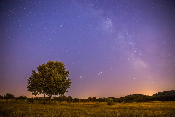 Céu Roxo Claro Com Estrelas Campo Solitário Árvore — Fotografia de Stock