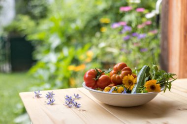 Bahçede yetişen bir kasede taze renkli sebzeler. Domates, kabak, çiçekler ve otlar..