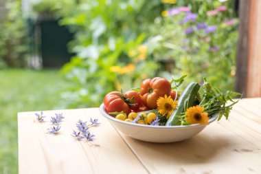 Bahçede yetişen bir kasede taze renkli sebzeler. Domates, kabak, çiçekler ve otlar..